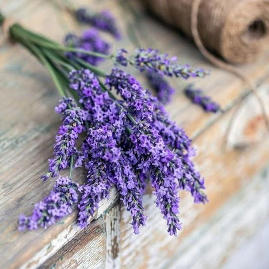 Esencia Lavanda Mont Blanc - 15ml